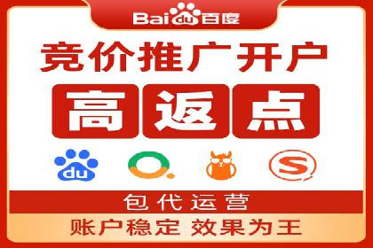 百度竞价排名案例分享：广告投放的技巧与误区